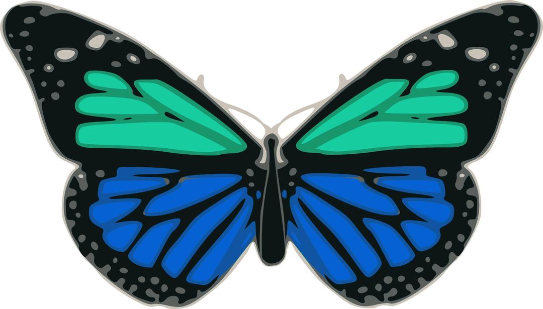 Butterfly 02 Turquoise Blue png transparent