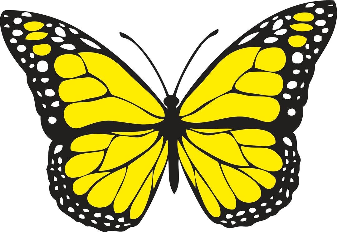 Butterfly 1 (colour) png transparent