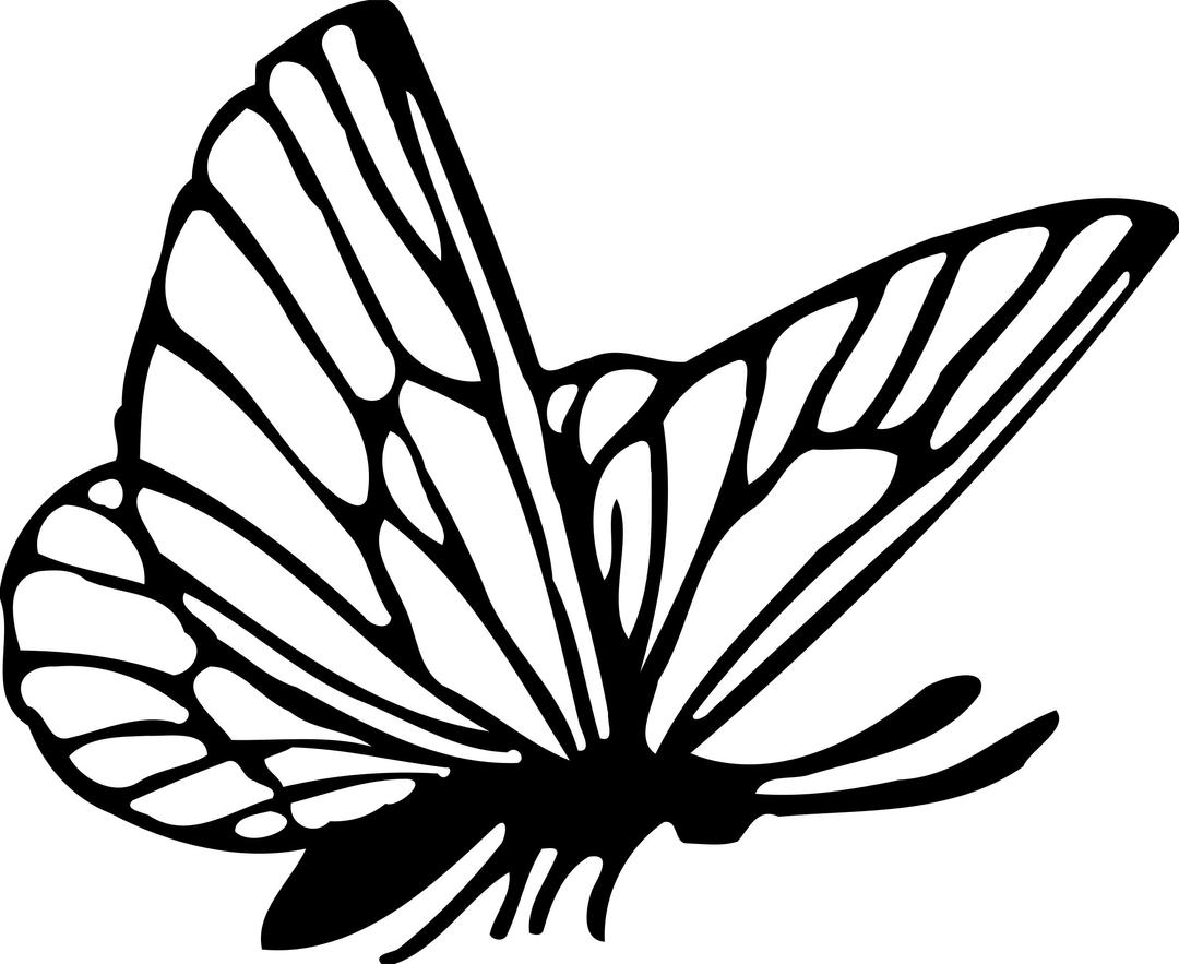 Butterfly 16 png transparent