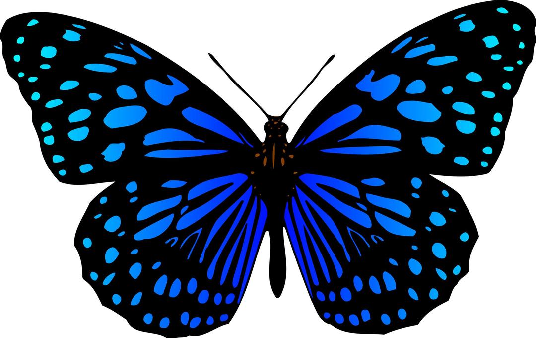 Butterfly 17 (colour 3) png transparent