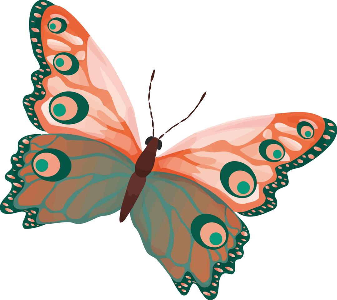 Butterfly 2 (colour) png transparent