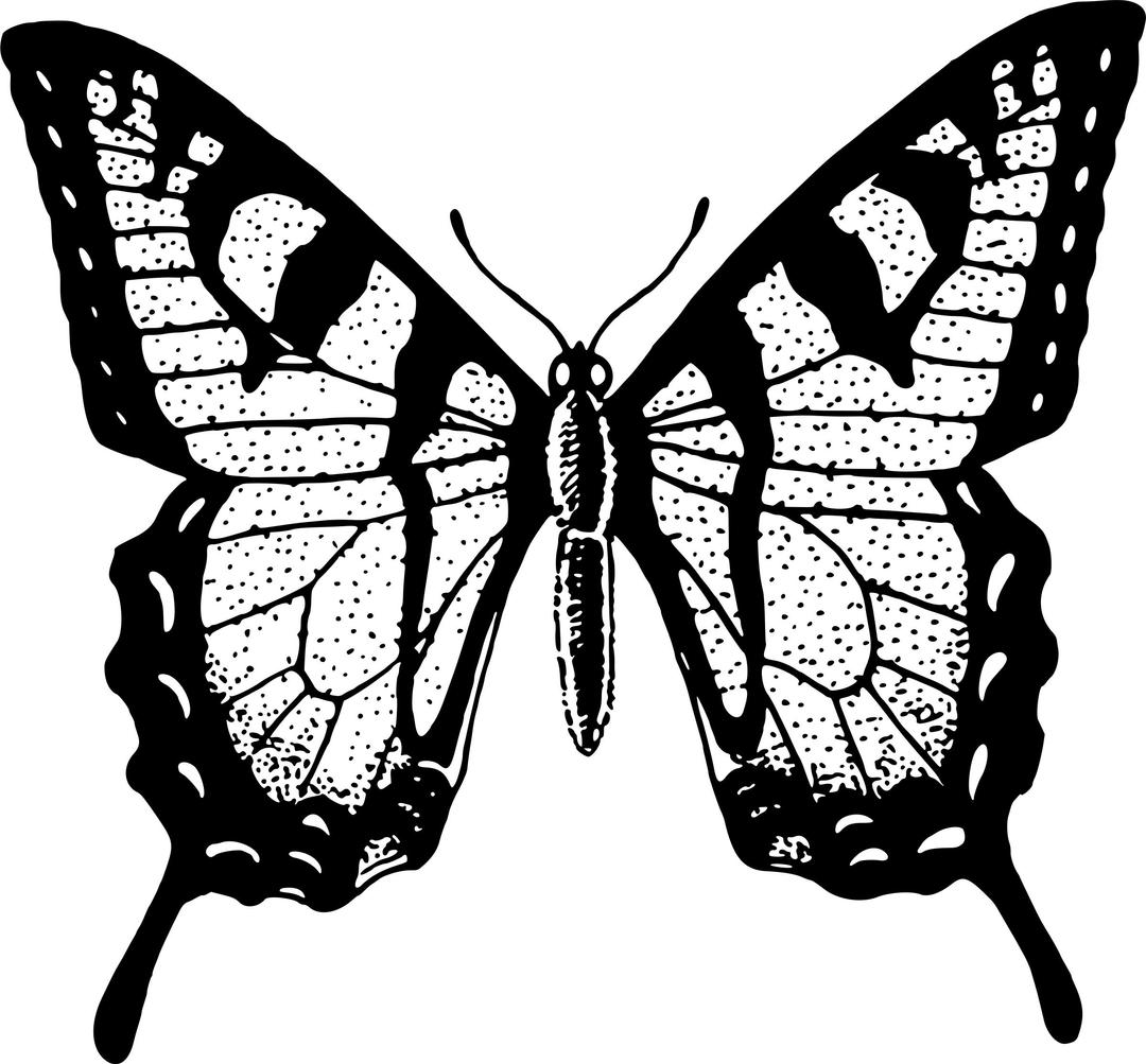 Butterfly 22 png transparent