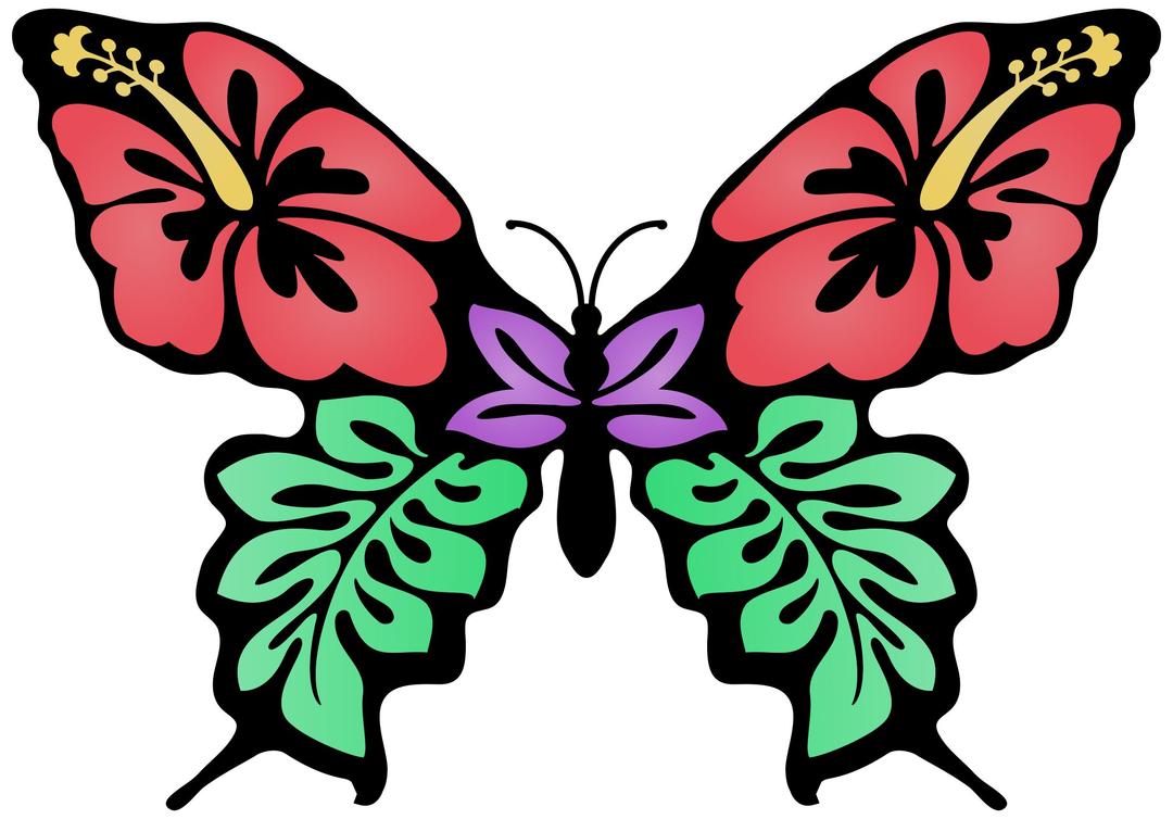 Butterfly Flower Colour png transparent