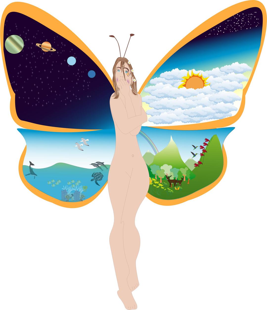 Butterfly life png transparent