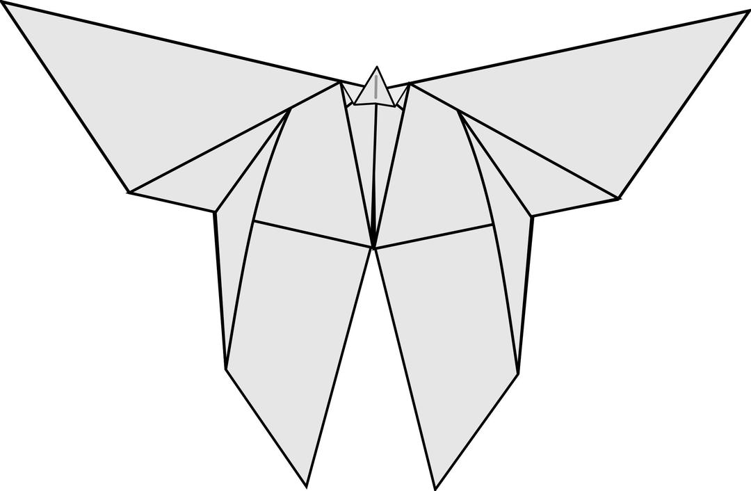 Butterfly no shadow png transparent