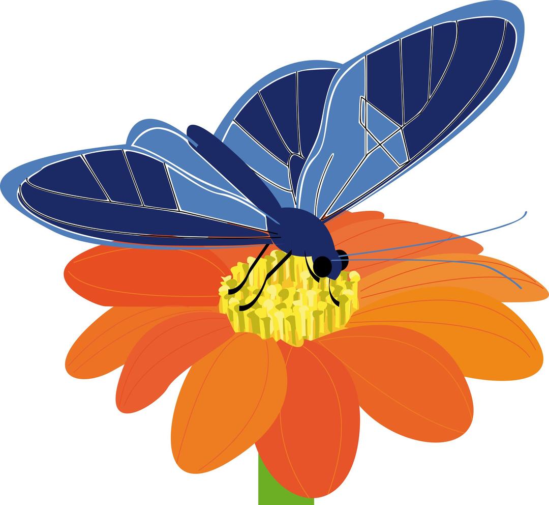 butterfly on a flower png transparent