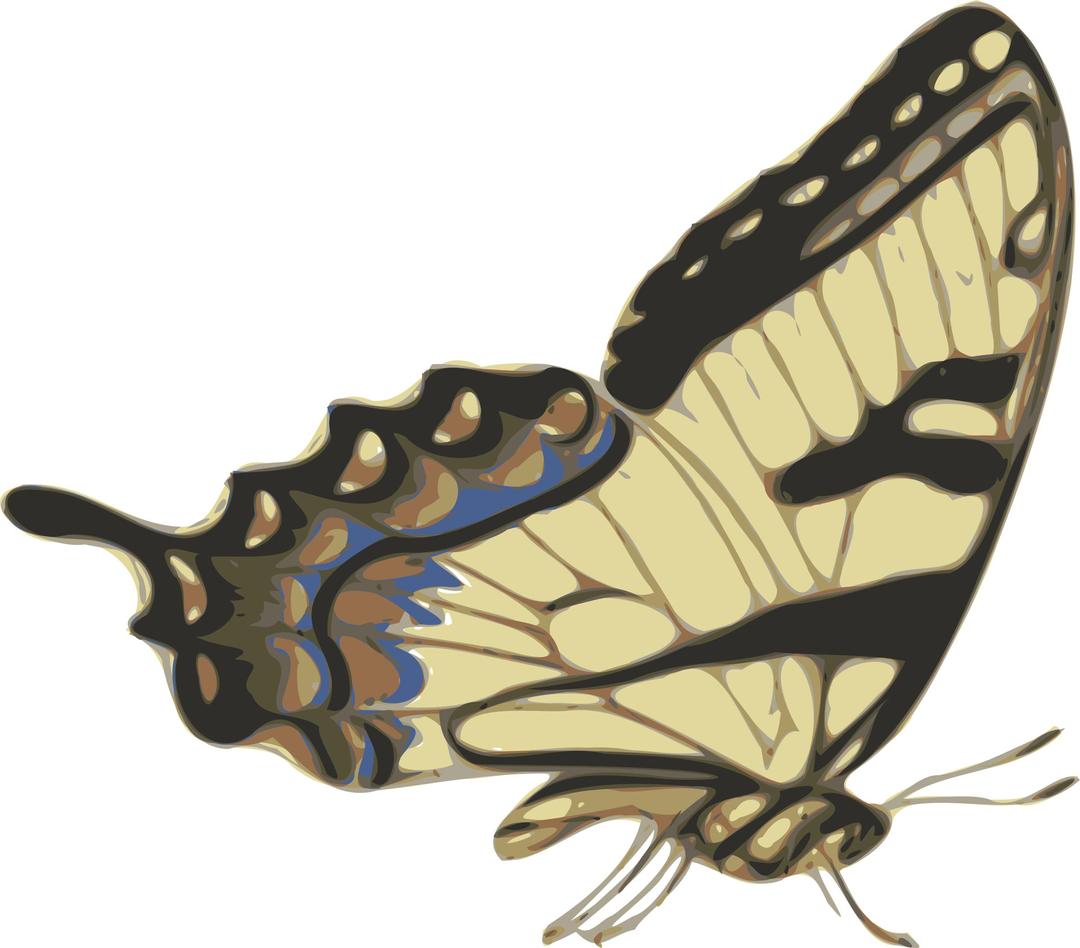 butterfly (papilio turnus) side view png transparent