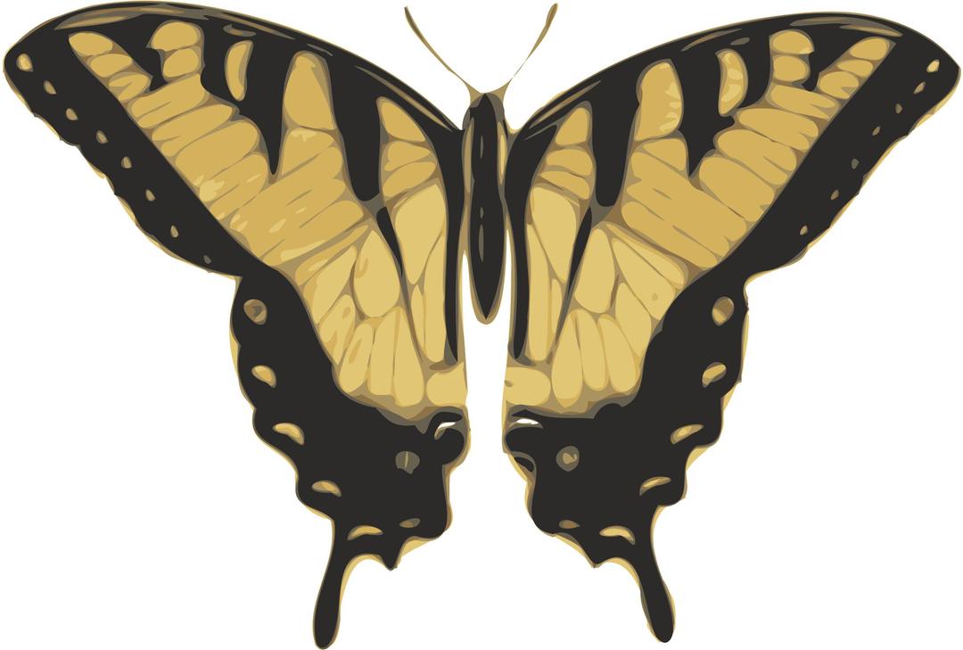 butterfly (papilio turnus) top view png transparent