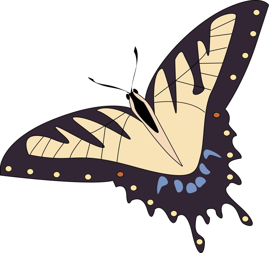 butterfly papillon png transparent