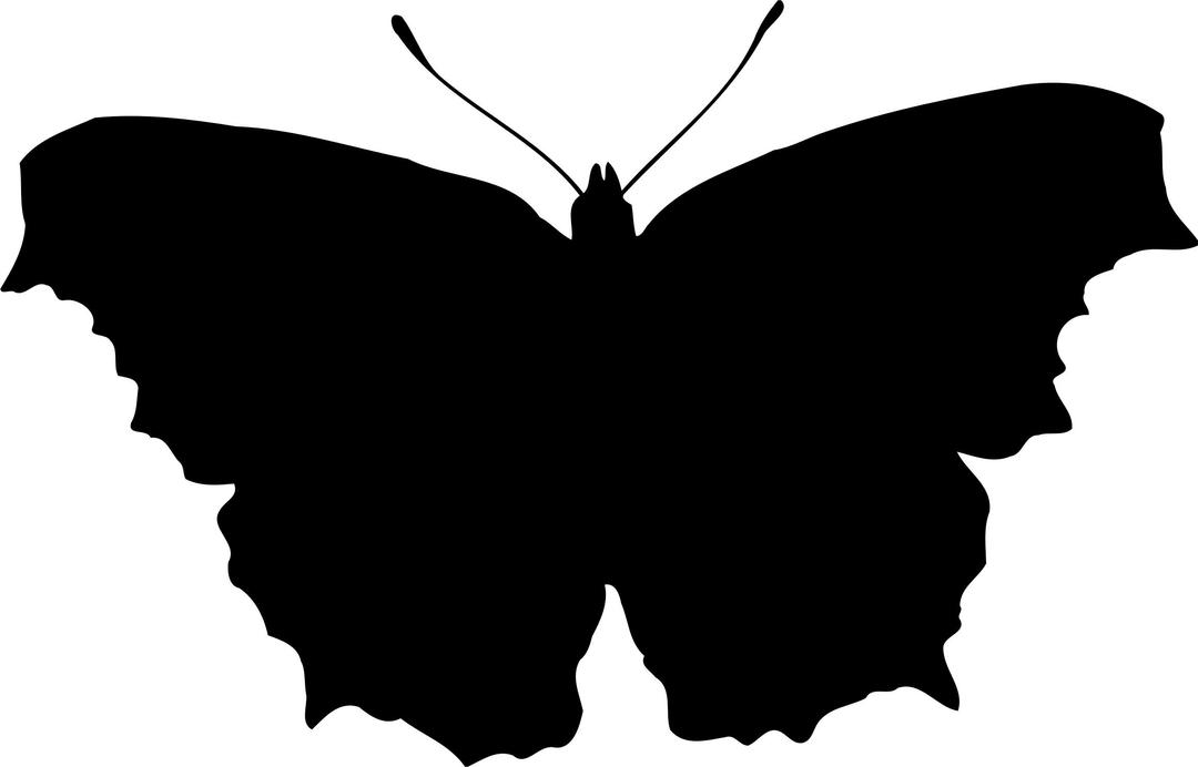 Butterfly Silhouette 2 png transparent