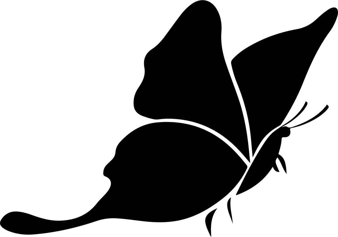 Butterfly Silhouette 3 png transparent