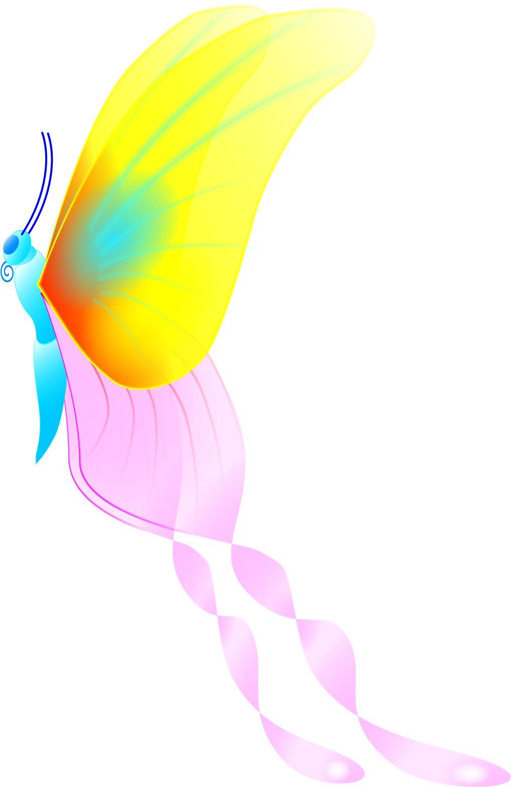 butterfly, version C png transparent