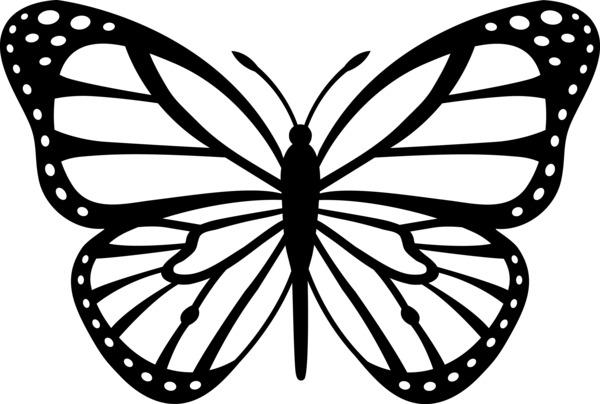 Butterfly With Dots Tattoo png transparent