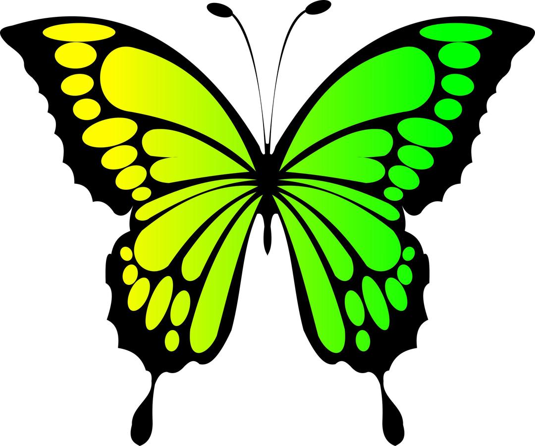 Butterfly Yellow Green png transparent