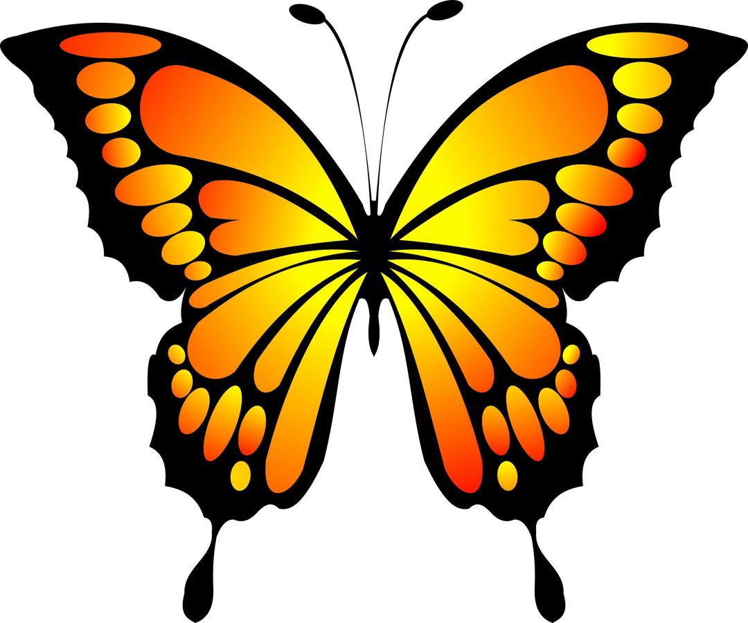 Butterfly Yellow Red png transparent