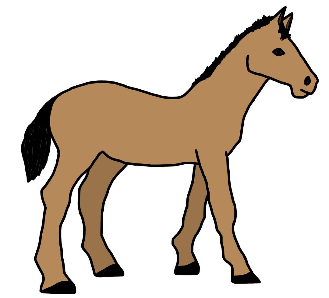 caballo png transparent