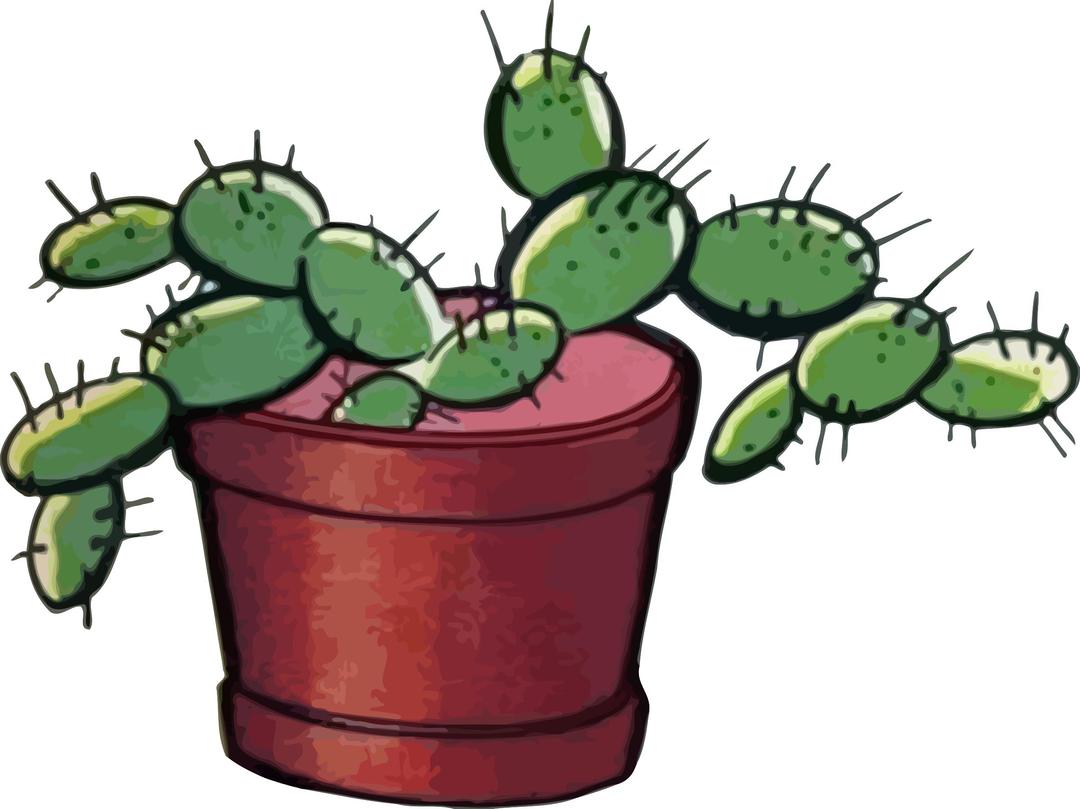 Cactus 3 png transparent