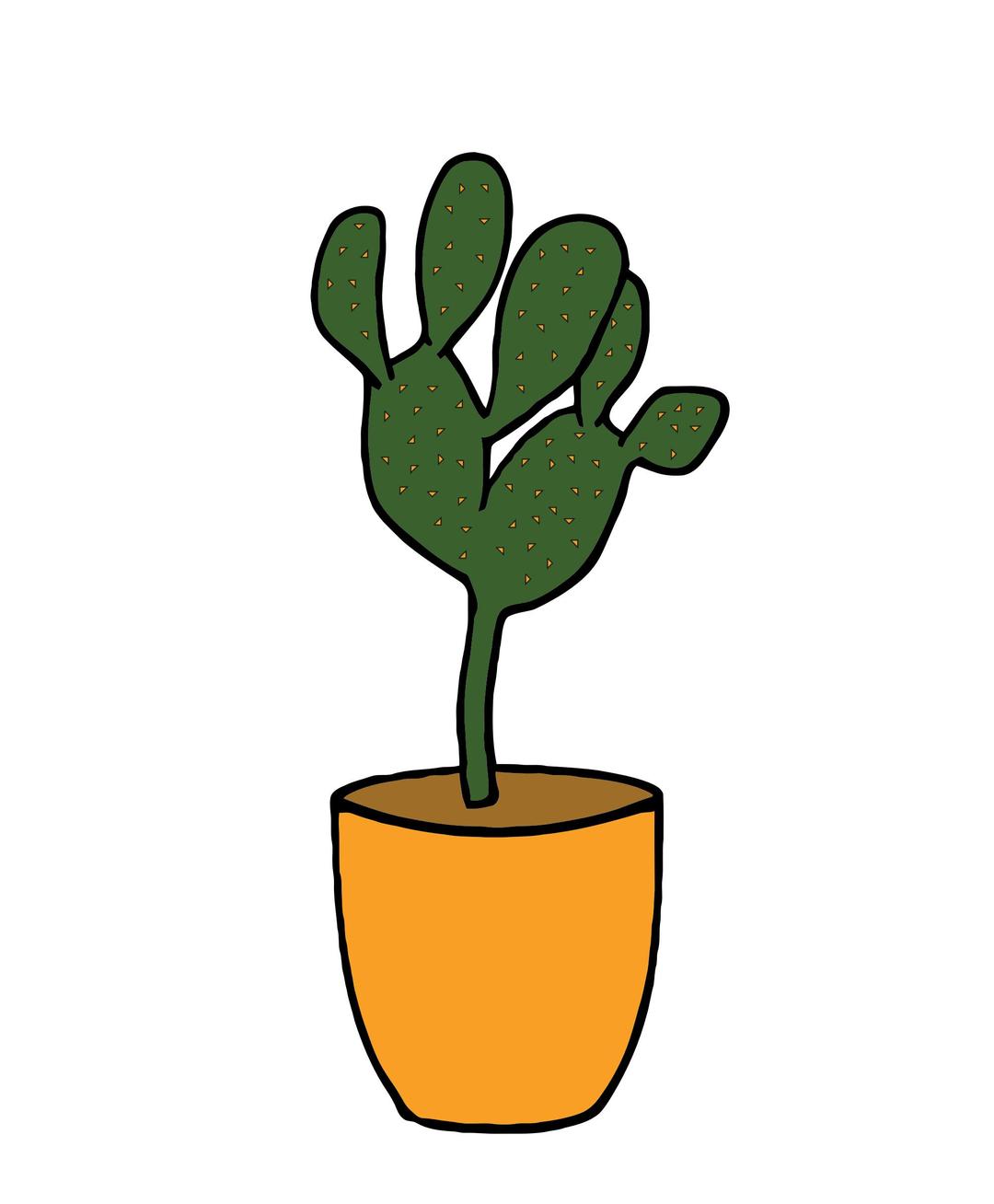 Cactus - Plants 001 png transparent