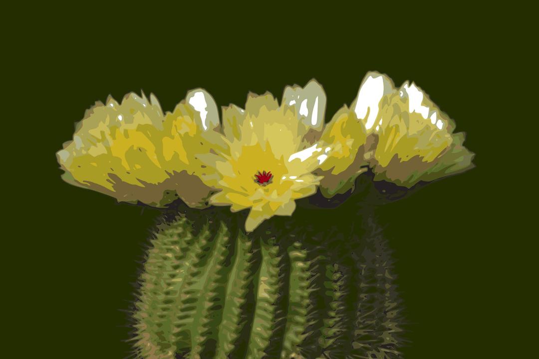 Cactus-flower 02 png transparent