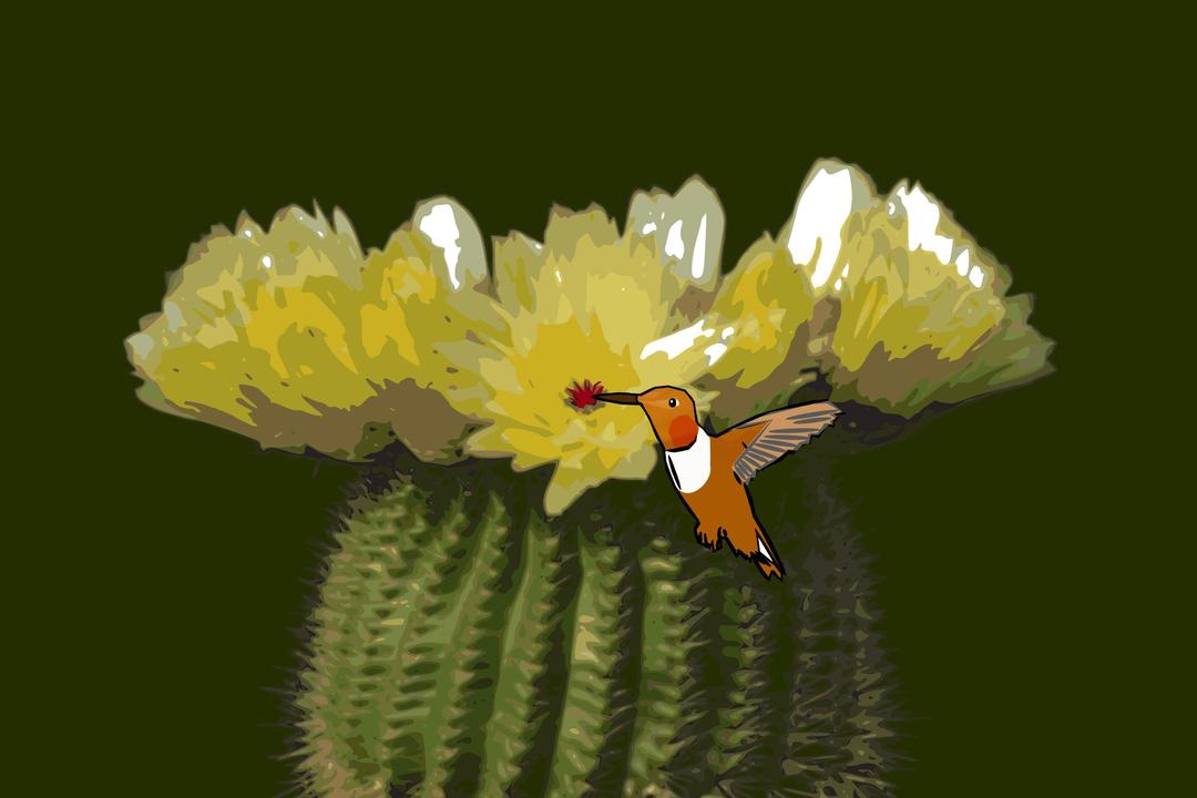 Cactus-hummingbird png transparent