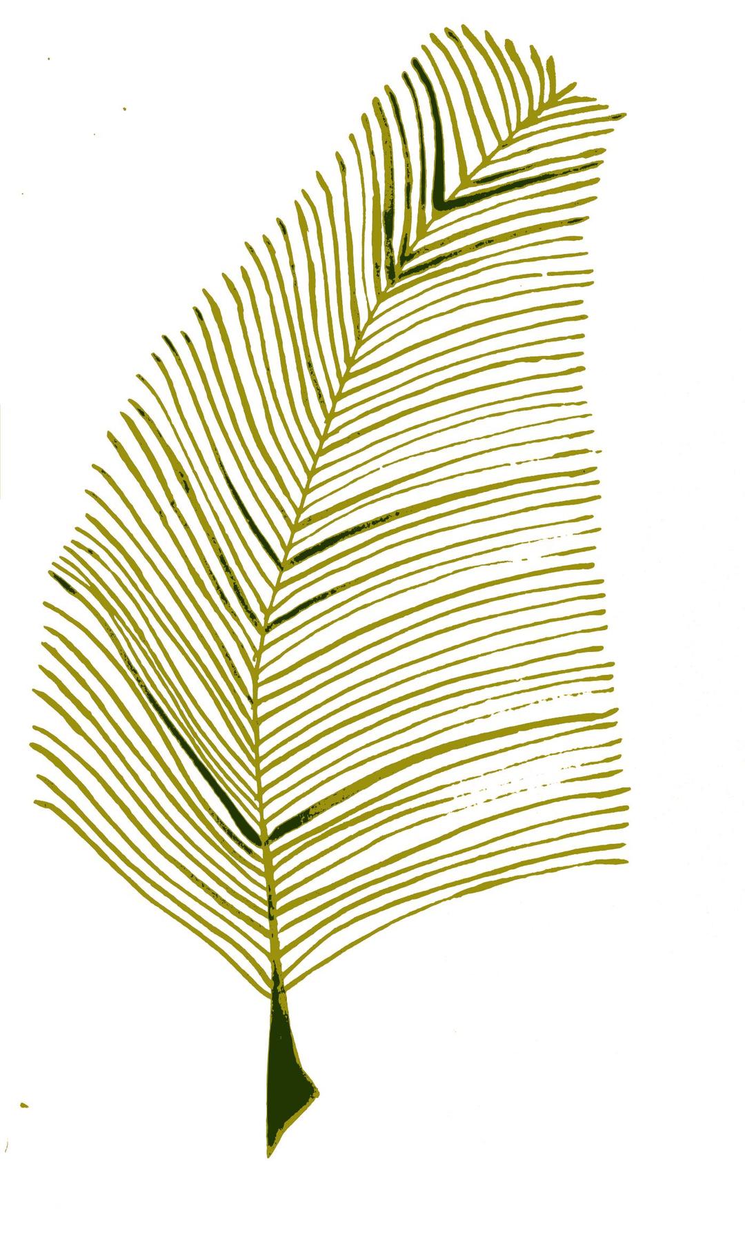 Calligraphic Illustration- Leaf, Twig, Plant- 2 png transparent