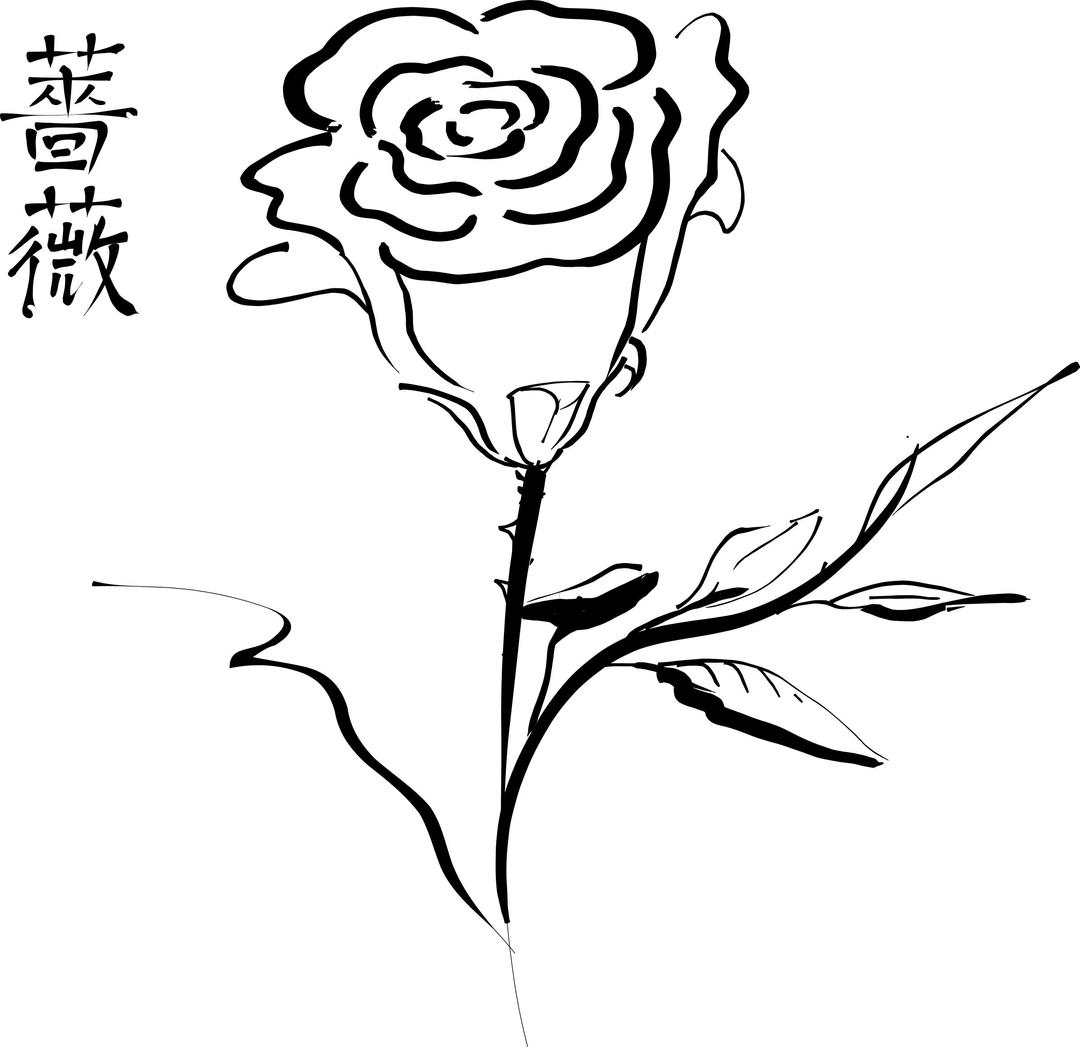Calligraphic Rose png transparent