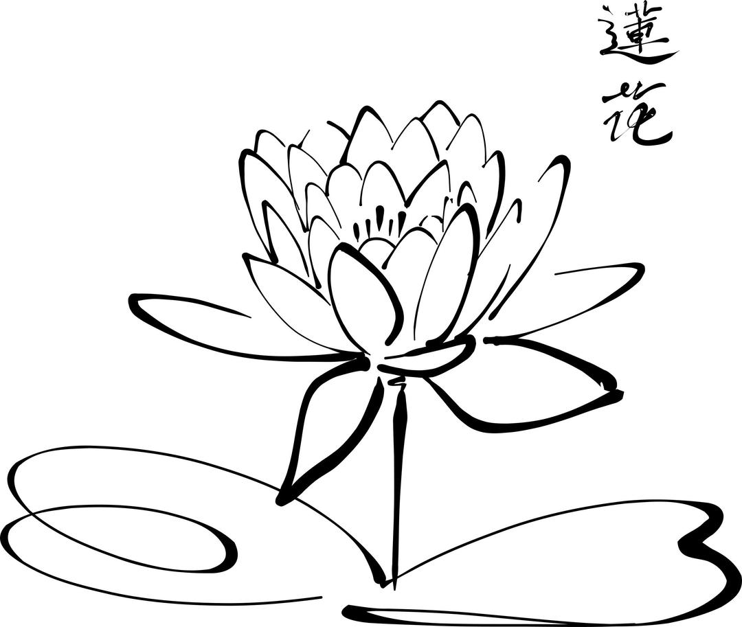 Calligraphy Lotus png transparent