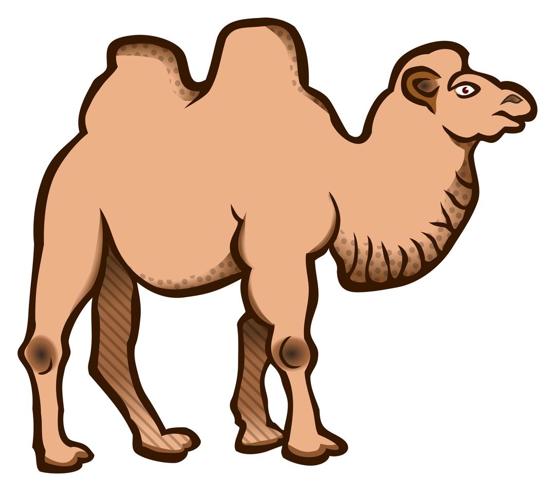 camel - coloured png transparent