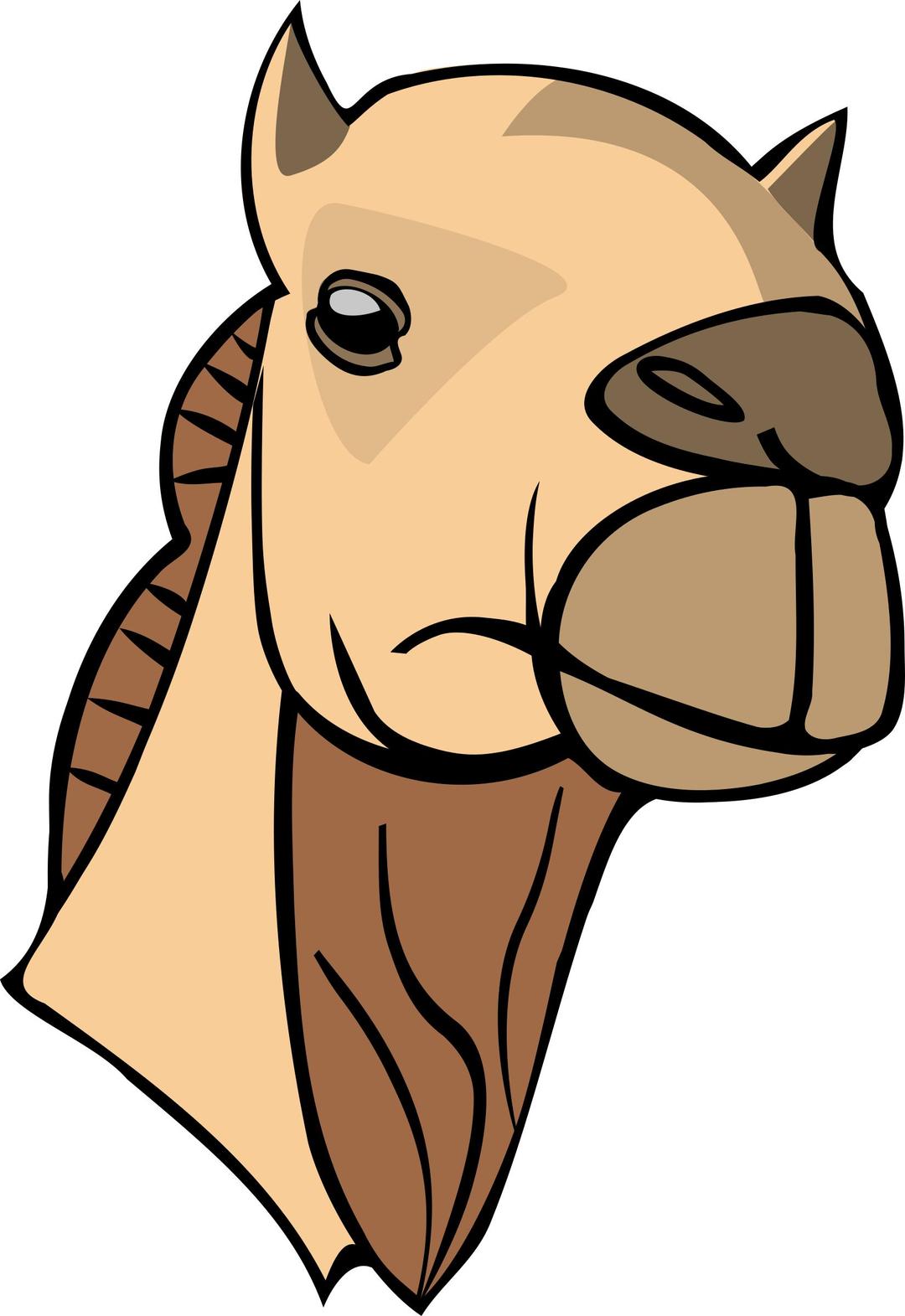 Camel head png transparent