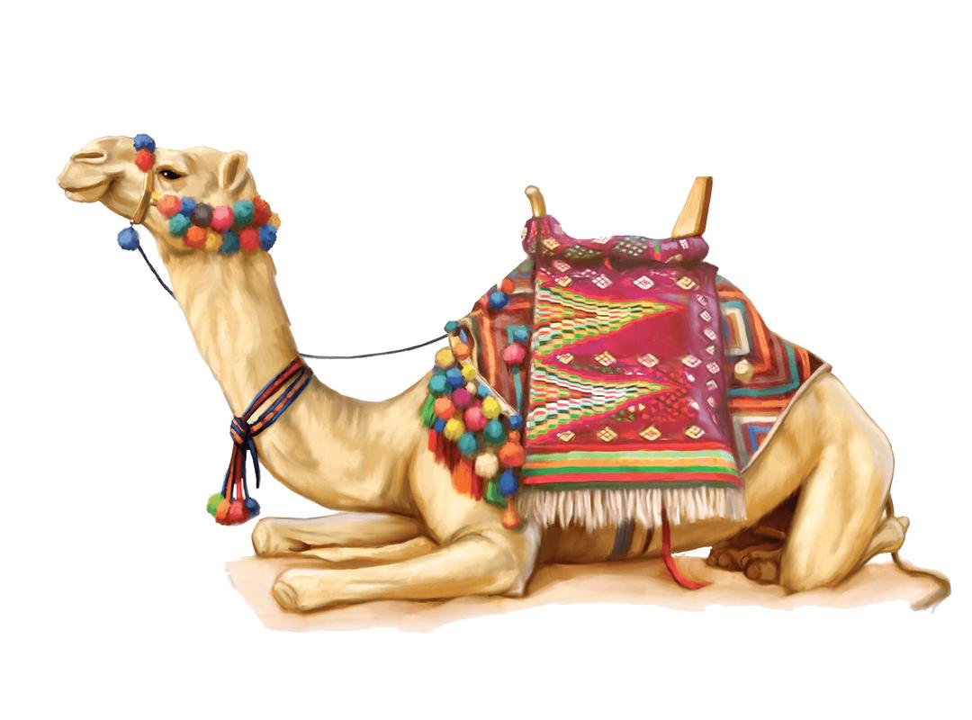 Camel Illustration png transparent