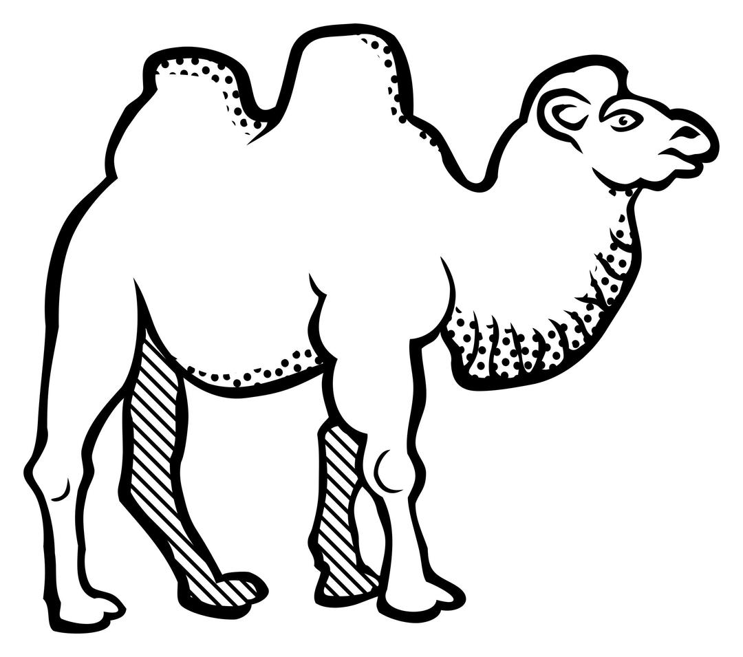 camel - lineart png transparent