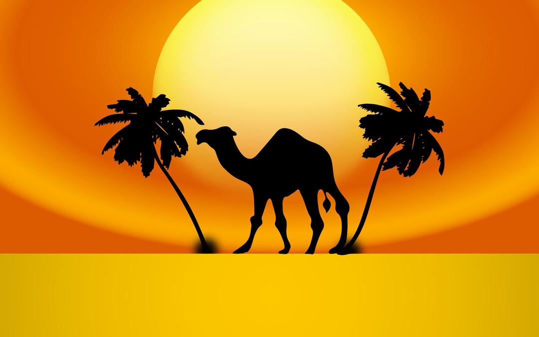 Camel Sunset png transparent