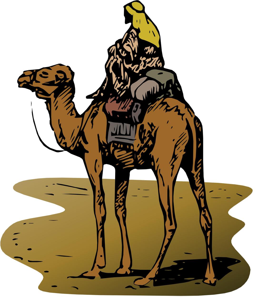 Camel with Rider png transparent