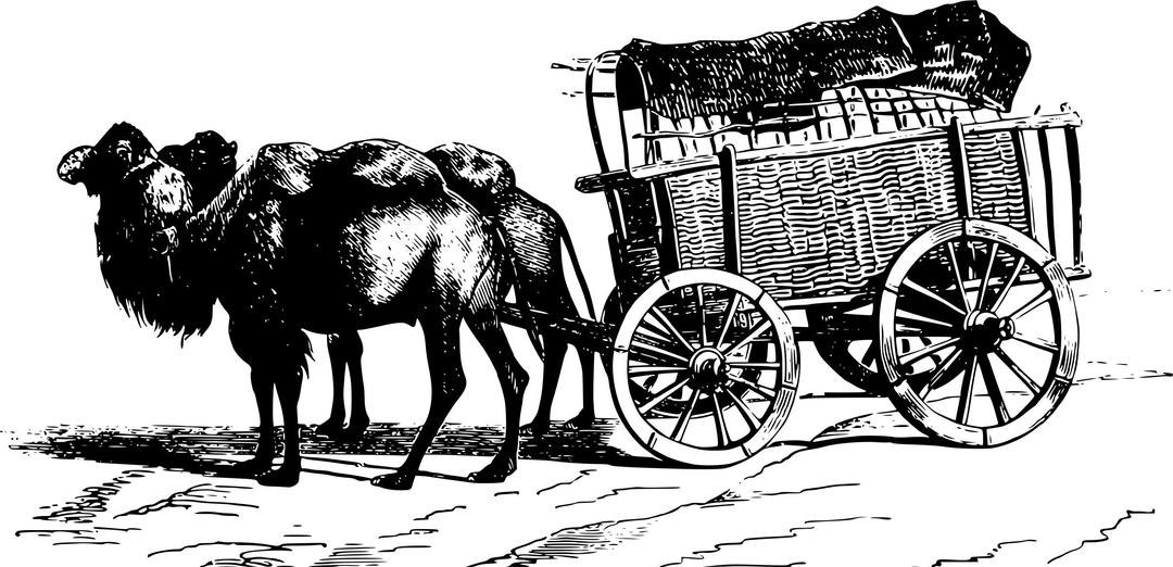 Camel-drawn wagon png transparent