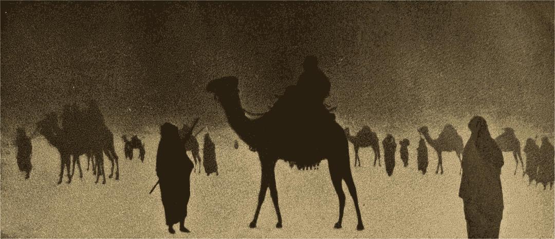 Camels in the Desert png transparent