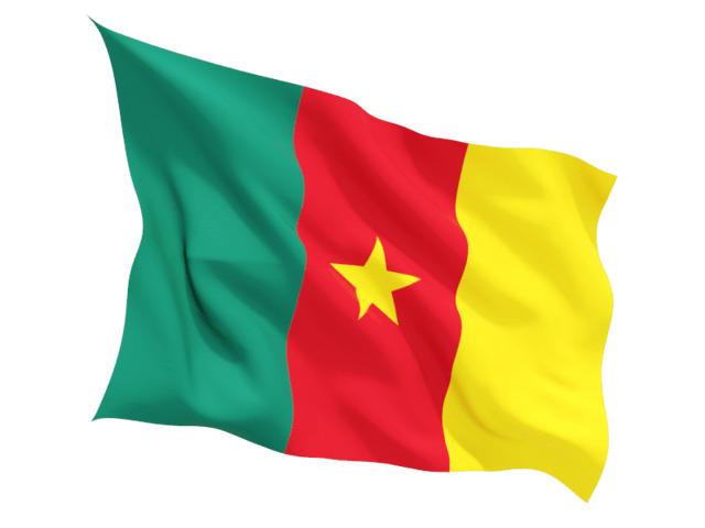 Cameroon Flag Wave png transparent