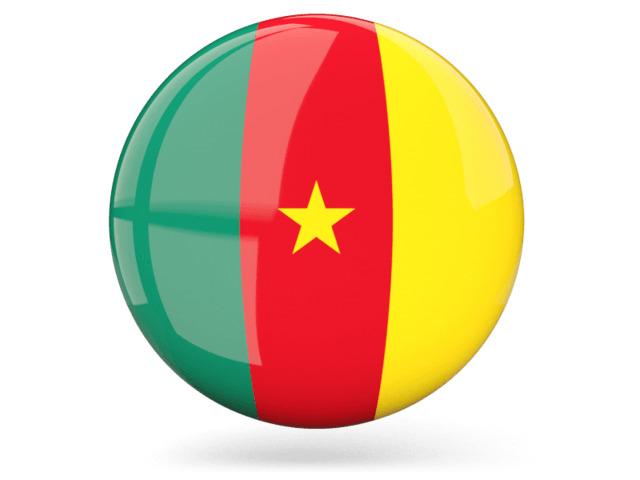 Cameroon Icon Flag png transparent
