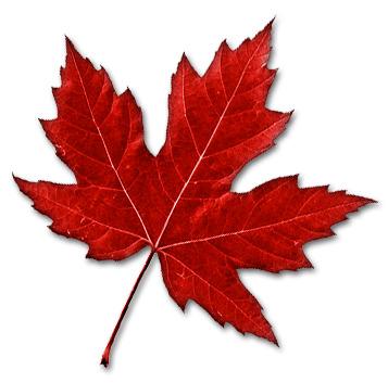 Canadian Maple Leaf png transparent