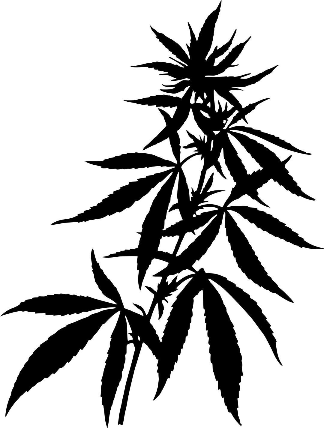Cannabis 2 (silhouette) png transparent
