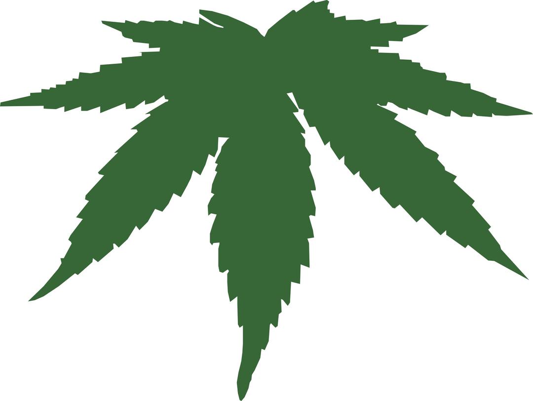 cannabis leaf png transparent