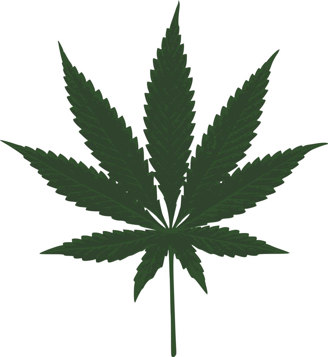 cannabis leafs png transparent