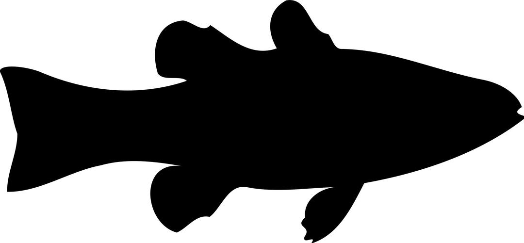 Cardinalfish (silhouette) png transparent