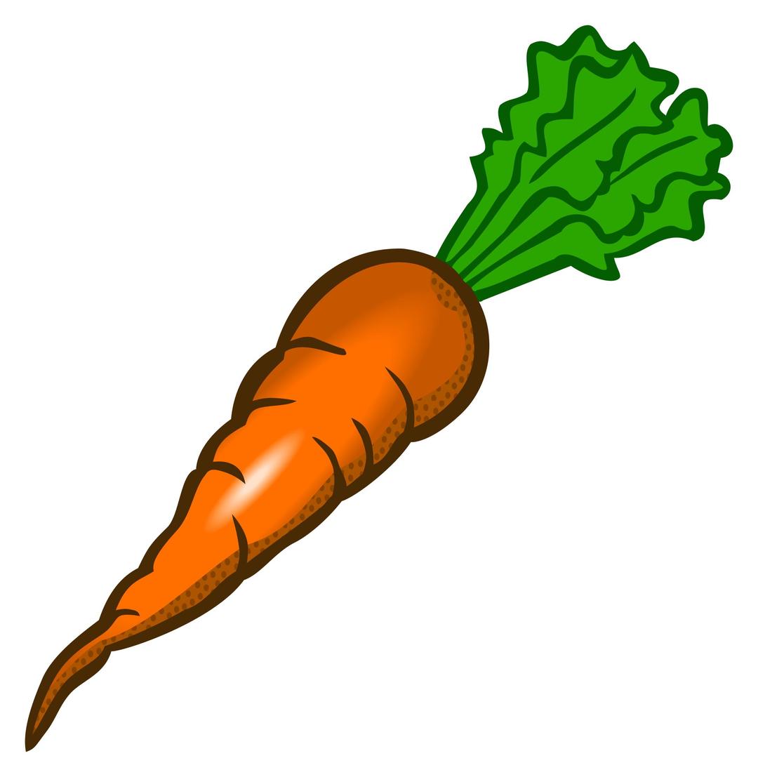 carrot - coloured png transparent