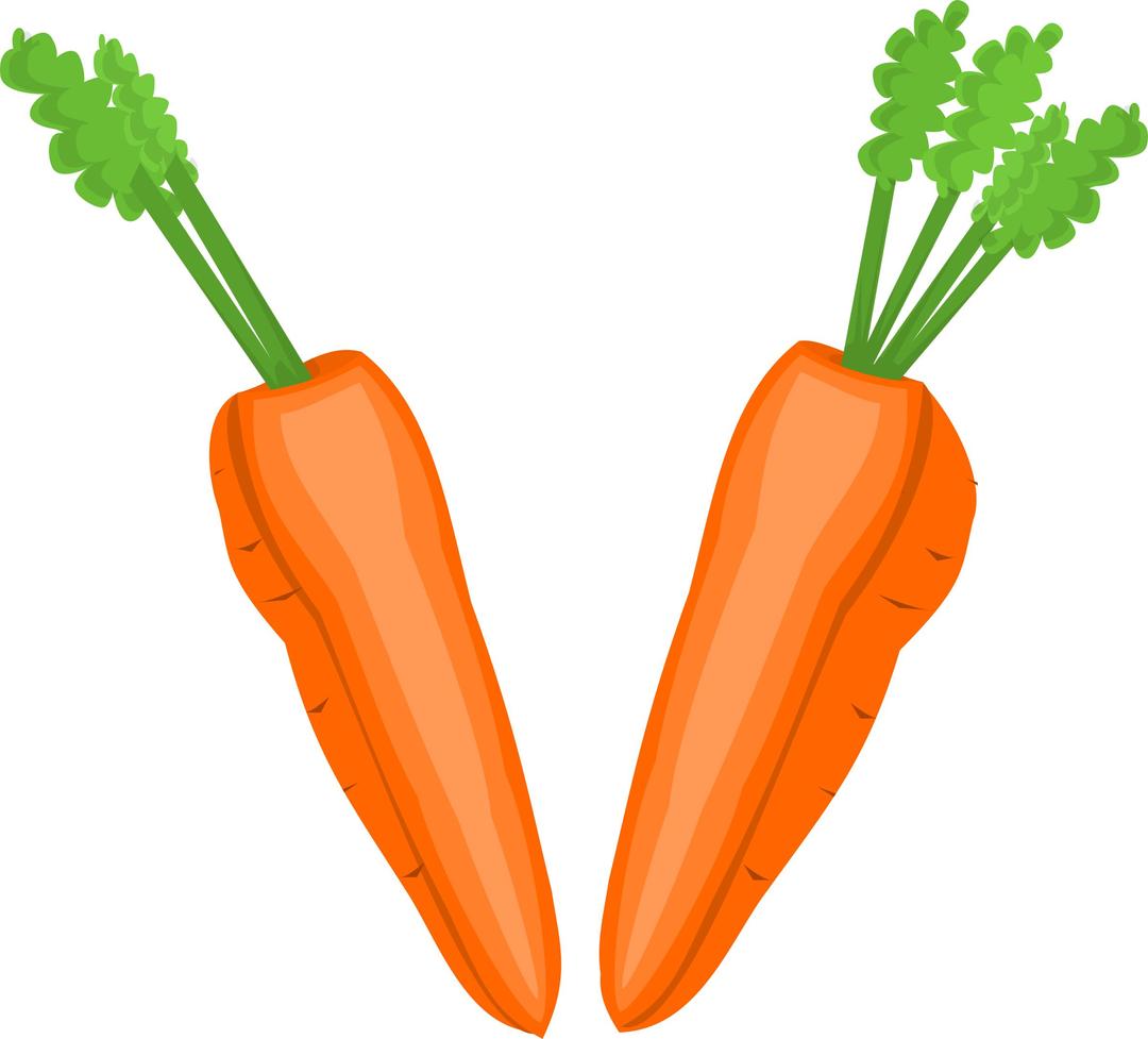 Carrot Halves png transparent