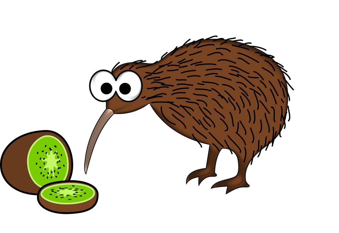 Cartoon kiwi bird with kiwi fruit png transparent