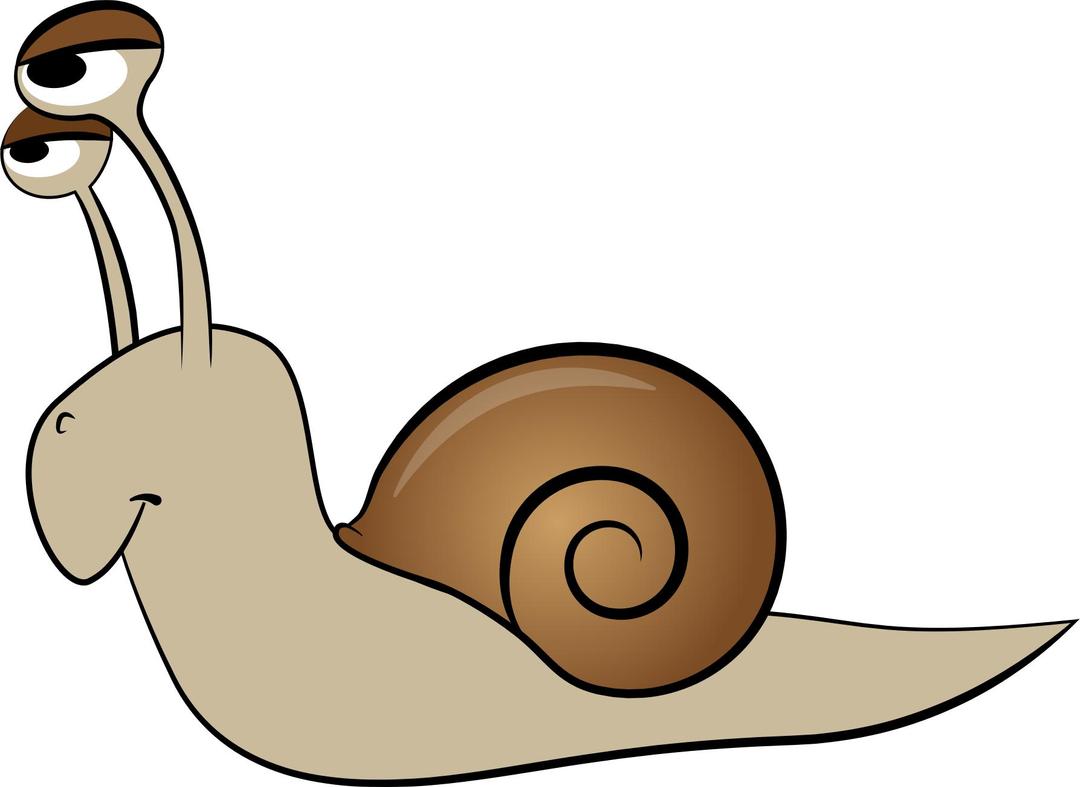 Cartoon Snail png transparent