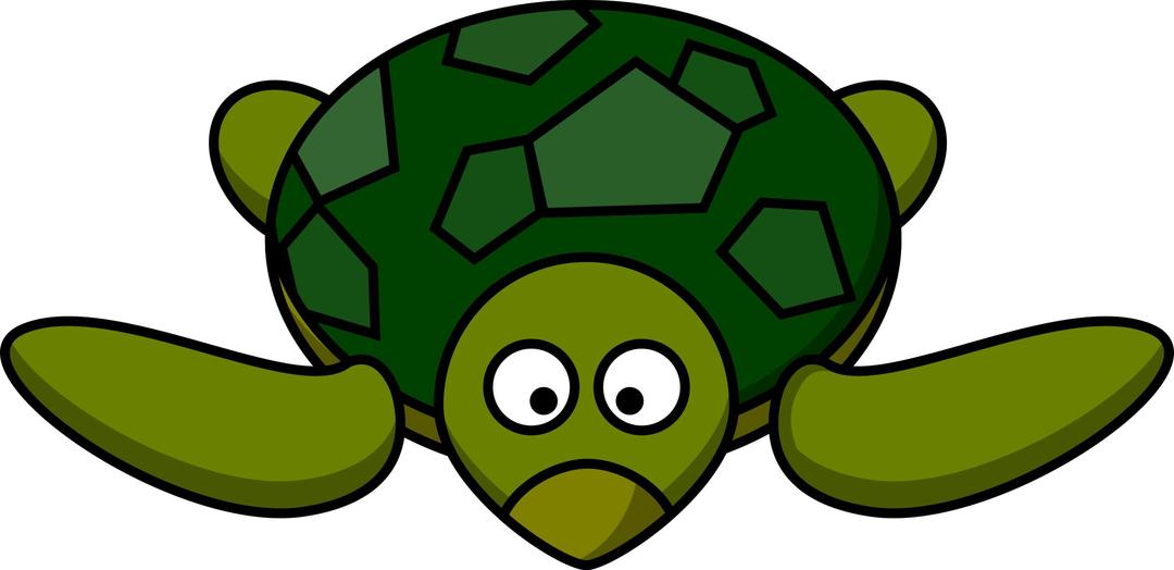 Cartoon Turtle png transparent