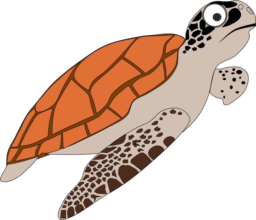 Cartoon Turtle 1 png transparent