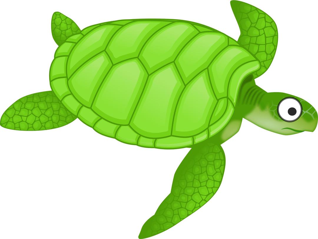 Cartoon turtle 2 png transparent