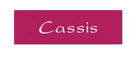 Cassis Logo png transparent